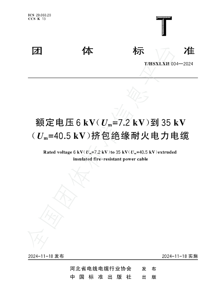 T/HSXLXH 004-2024 标准预览