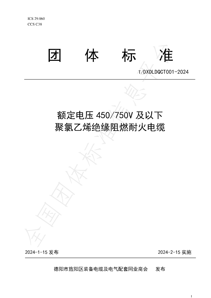 T/DXDLDQCT 001-2024 标准预览