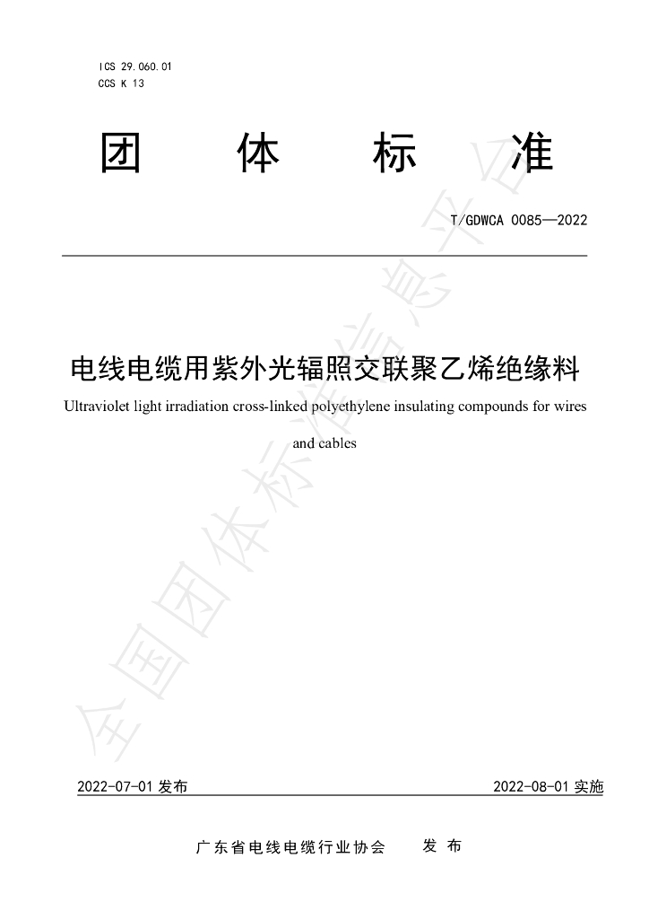 T/GDWCA 0085-2022 标准预览