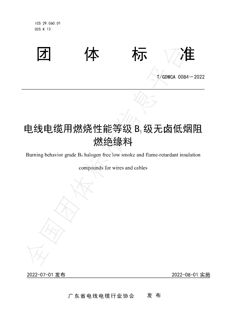 T/GDWCA 0084-2022 标准预览