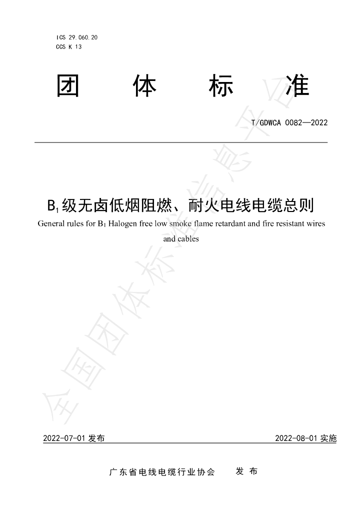 T/GDWCA 0082-2022 标准预览