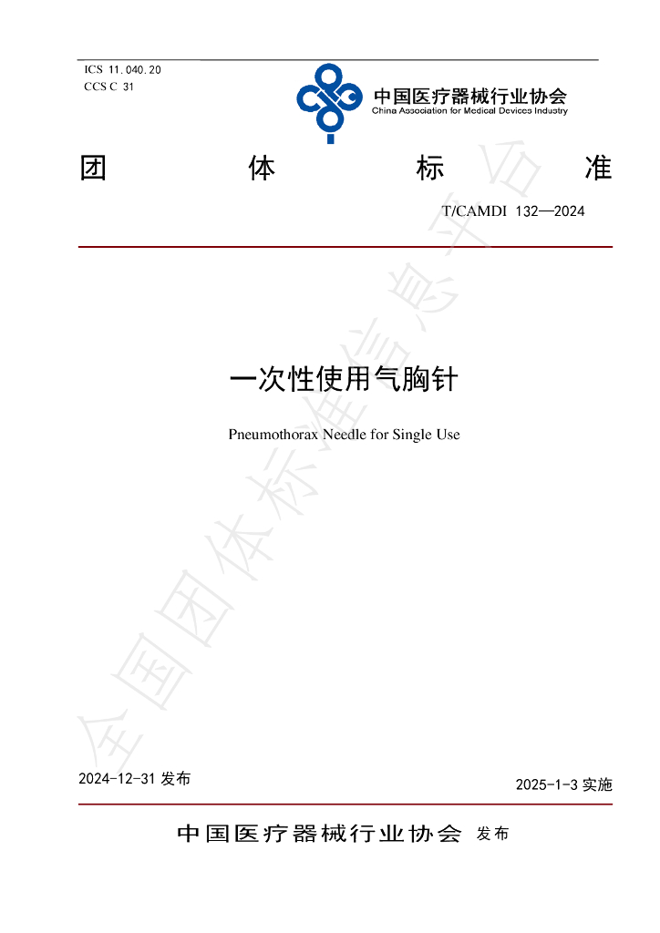 T/CAMDI 132-2024 标准预览