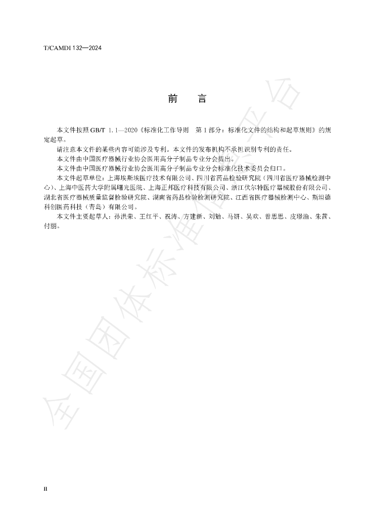 T/CAMDI 132-2024 标准预览