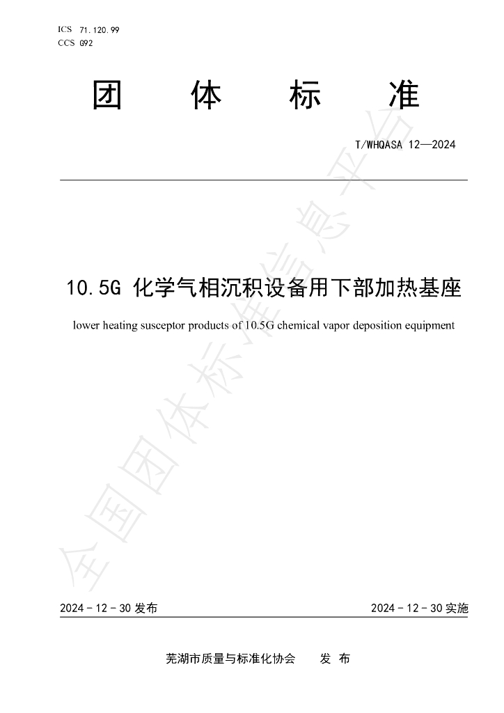 T/WHQASA 12-2024 标准预览