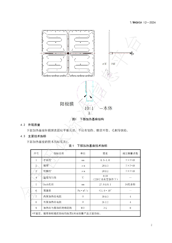 T/WHQASA 12-2024 标准预览