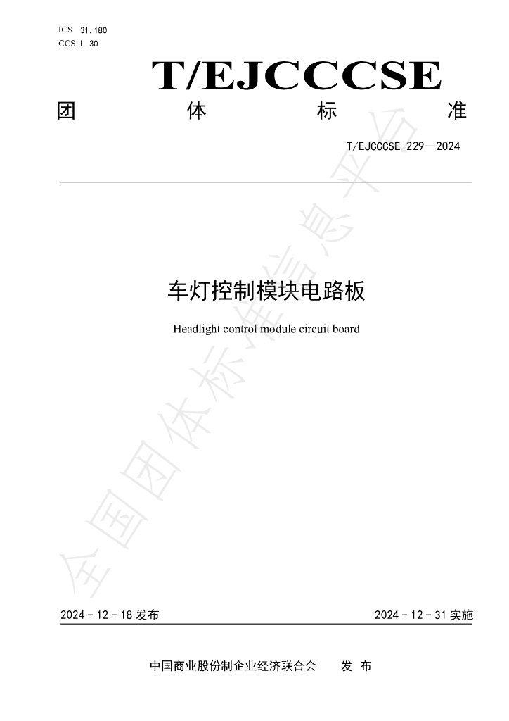T/EJCCCSE 229-2024 标准预览
