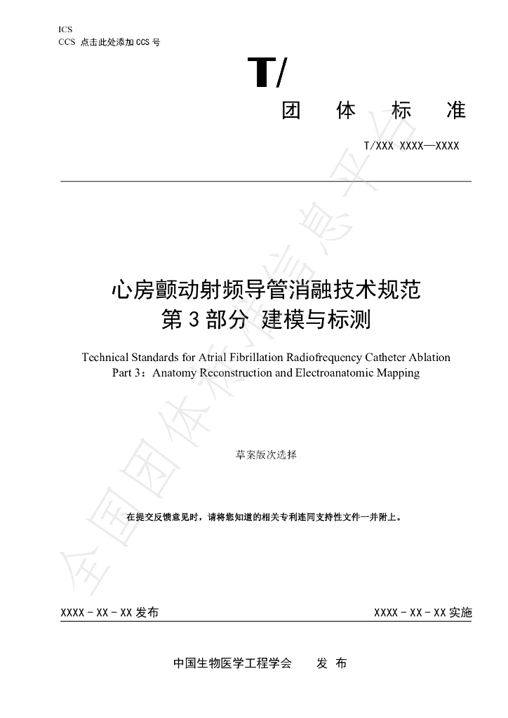 T/CSBME 080.3-2024 标准预览