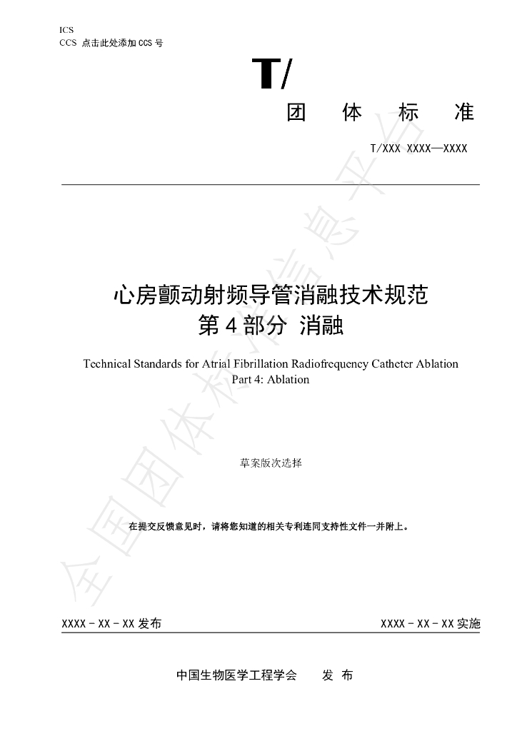 T/CSBME 080.4-2024 标准预览