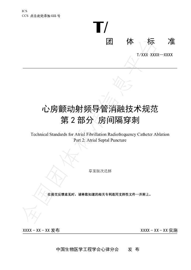 T/CSBME 080.2-2024 标准预览