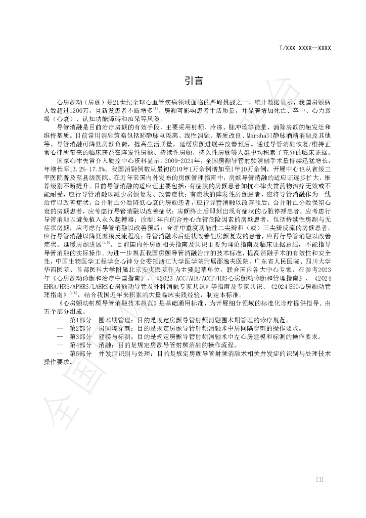 T/CSBME 080.2-2024 标准预览