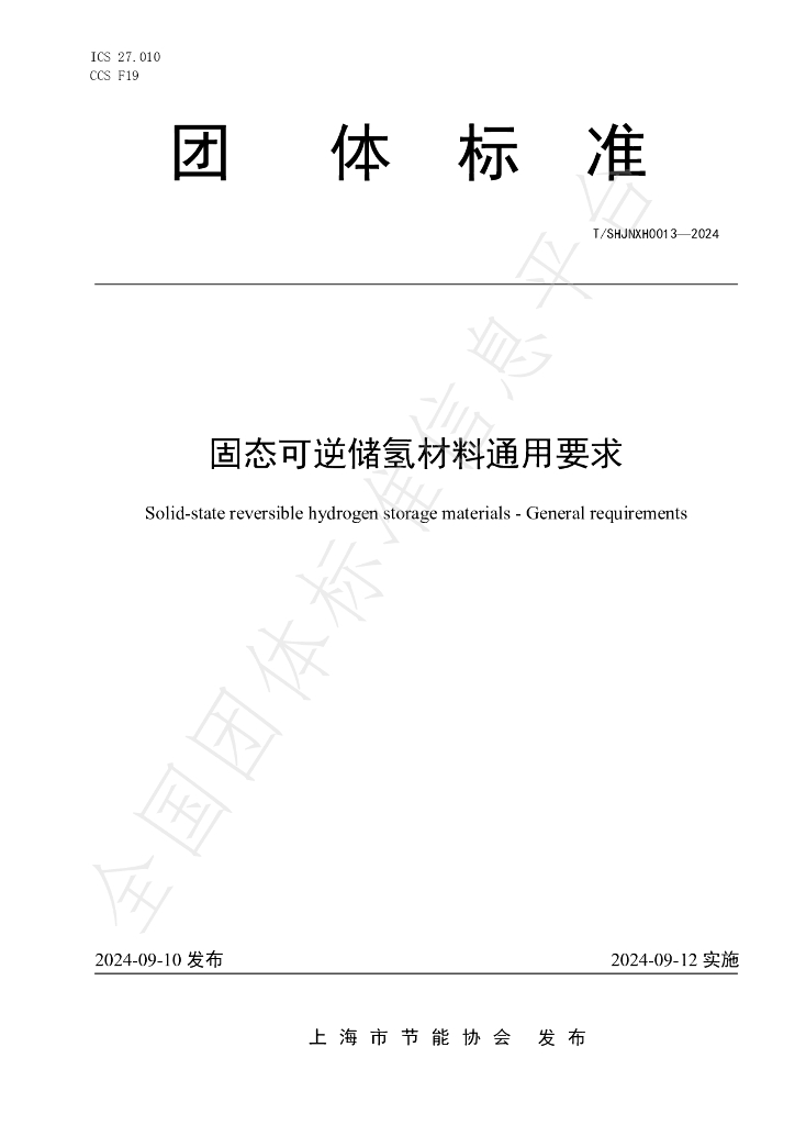 T/SHJNXH 0013-2024 标准预览