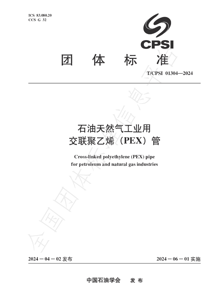 T/CPSI 01304-2024 标准预览