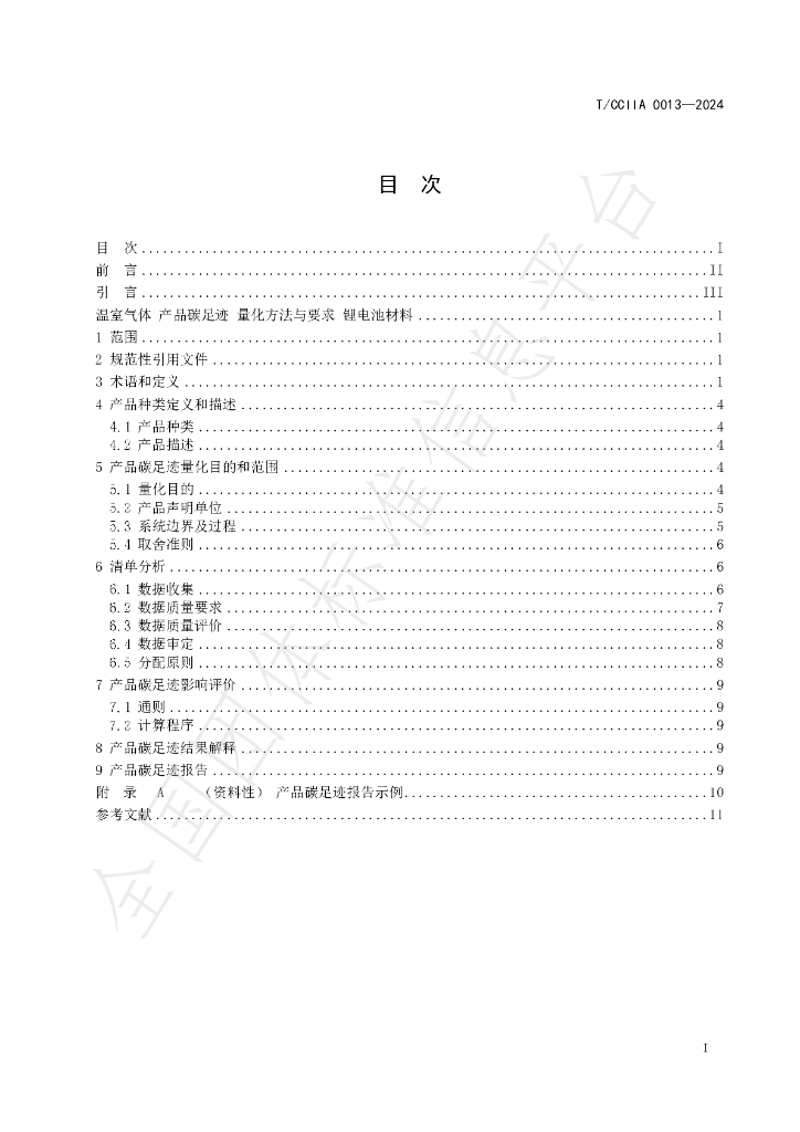 T/CCIIA 0013-2024 标准预览