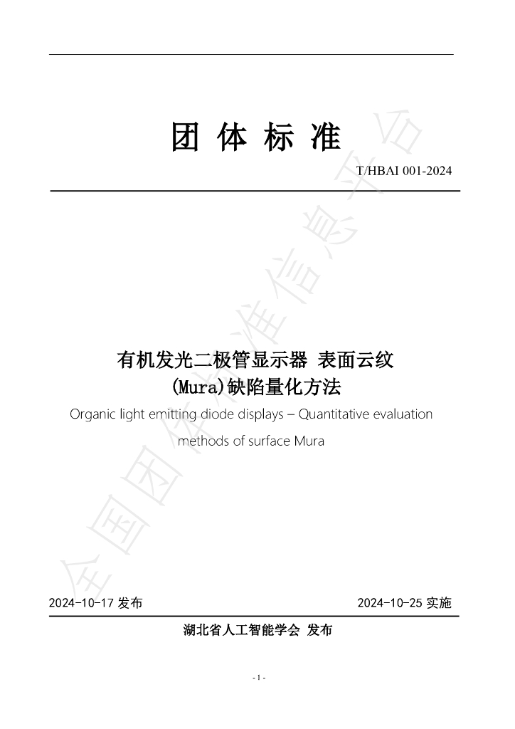 T/HBAI 001-2024 标准预览