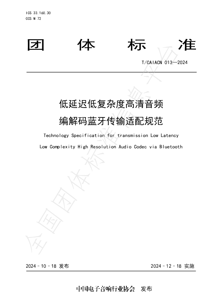 T/CAIACN 013-2024 标准预览