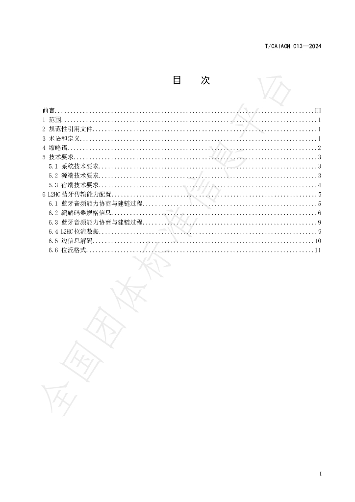 T/CAIACN 013-2024 标准预览
