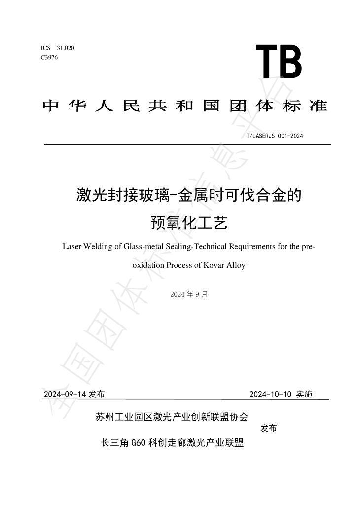 T/LASERJS 001-2024 标准预览