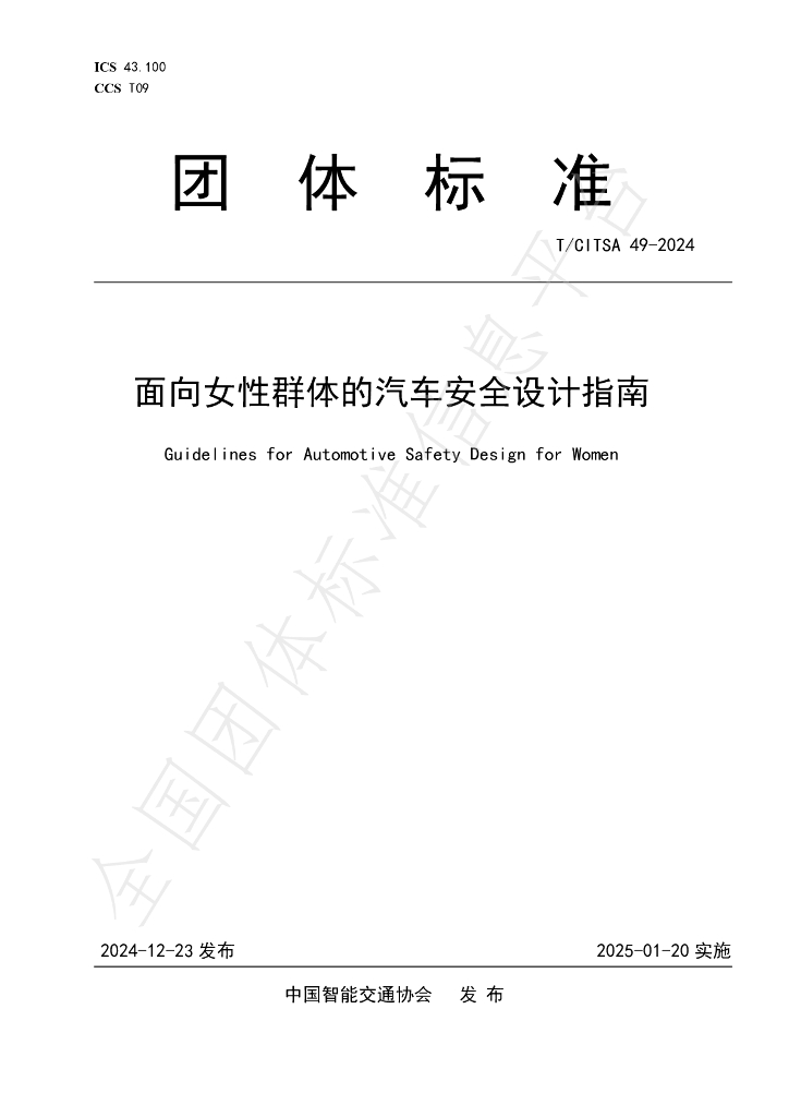 T/CITSA 49-2024 标准预览