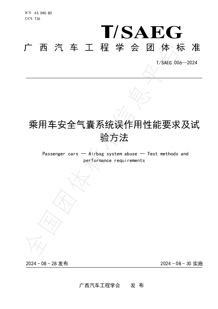 T/SAEG 006-2024 标准预览