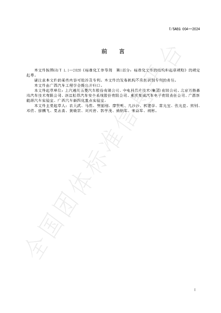 T/SAEG 004-2024 标准预览