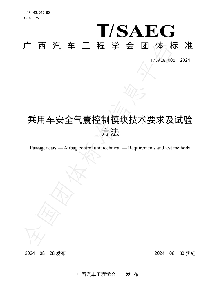 T/SAEG 005-2024 标准预览
