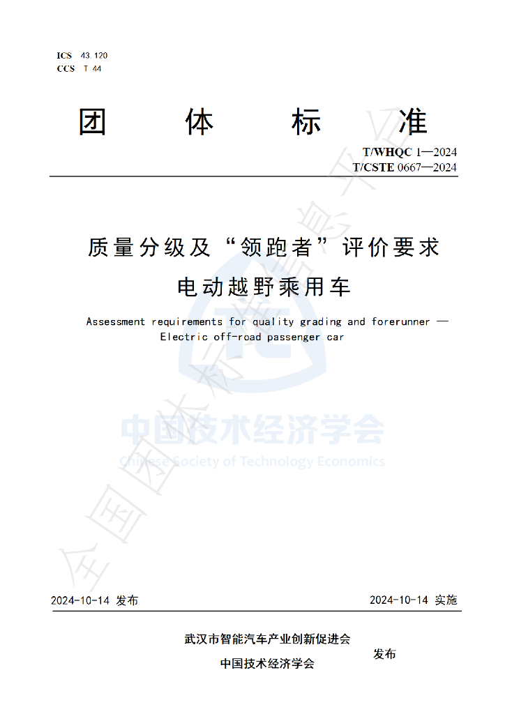 T/CSTE 0667-2024 标准预览