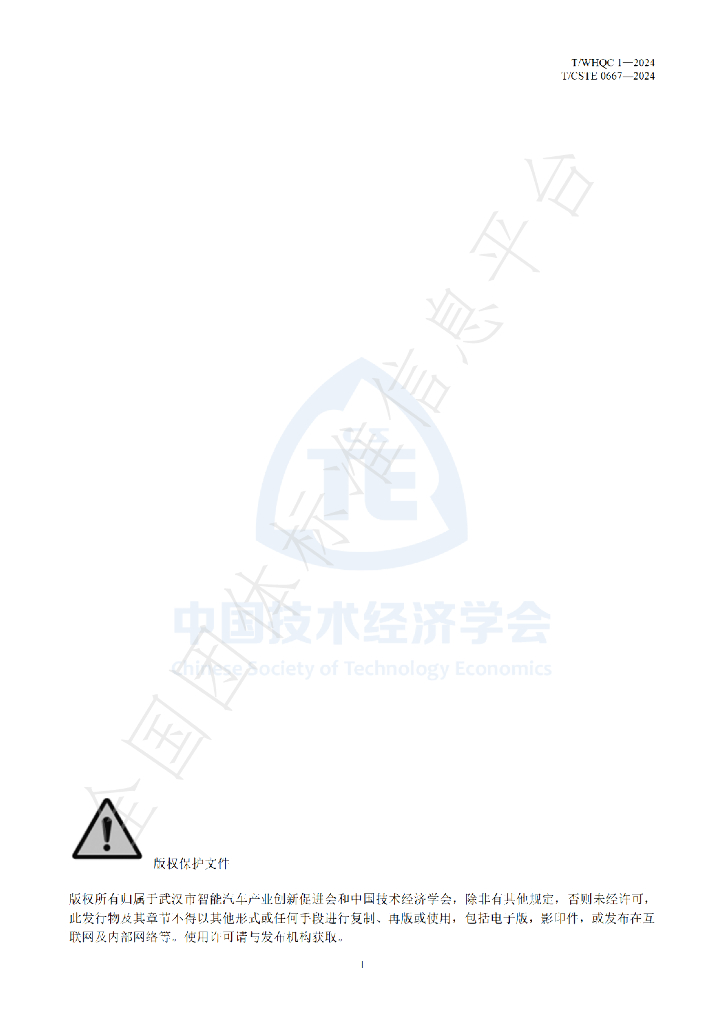 T/CSTE 0667-2024 标准预览