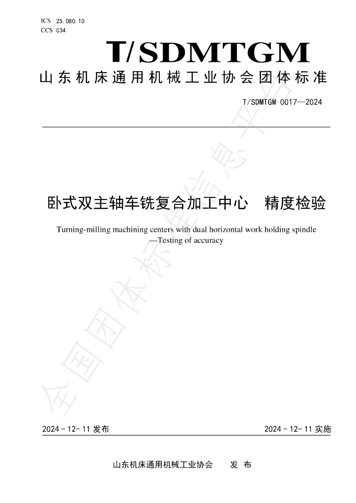 T/SDMTGM 0017-2024 标准预览