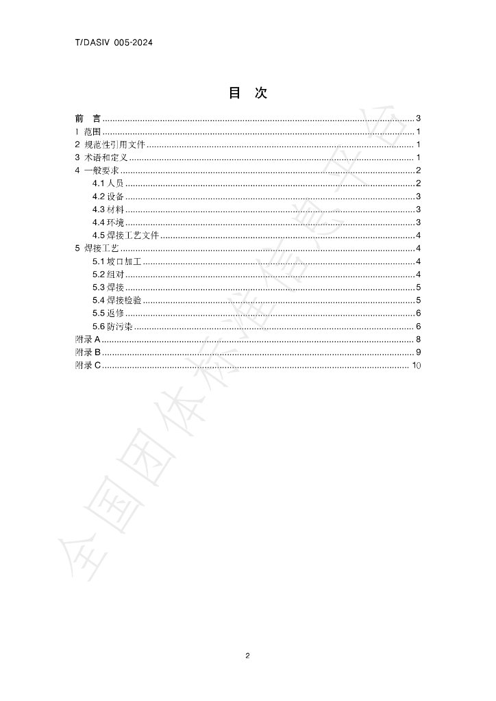 T/DASIV 005-2024 标准预览