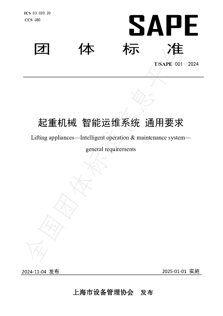 T/SAPE 001-2024 标准预览