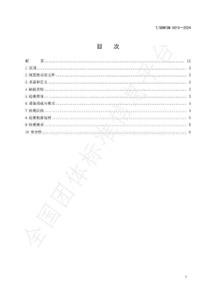 T/SDMTGM 0015-2024 标准预览