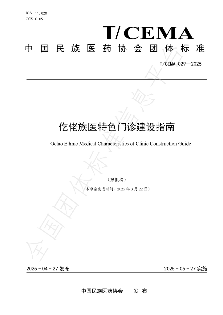 T/CEMA 029-2025 标准预览