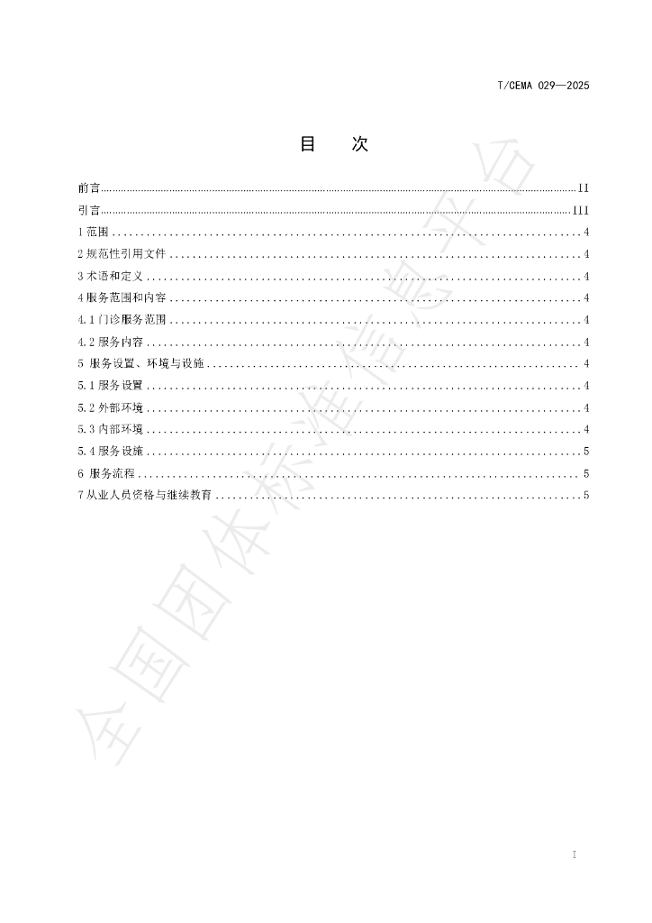 T/CEMA 029-2025 标准预览