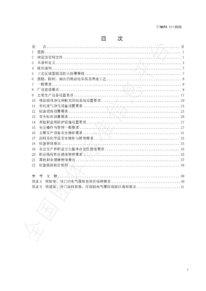 T/NAPA 11-2025 标准预览