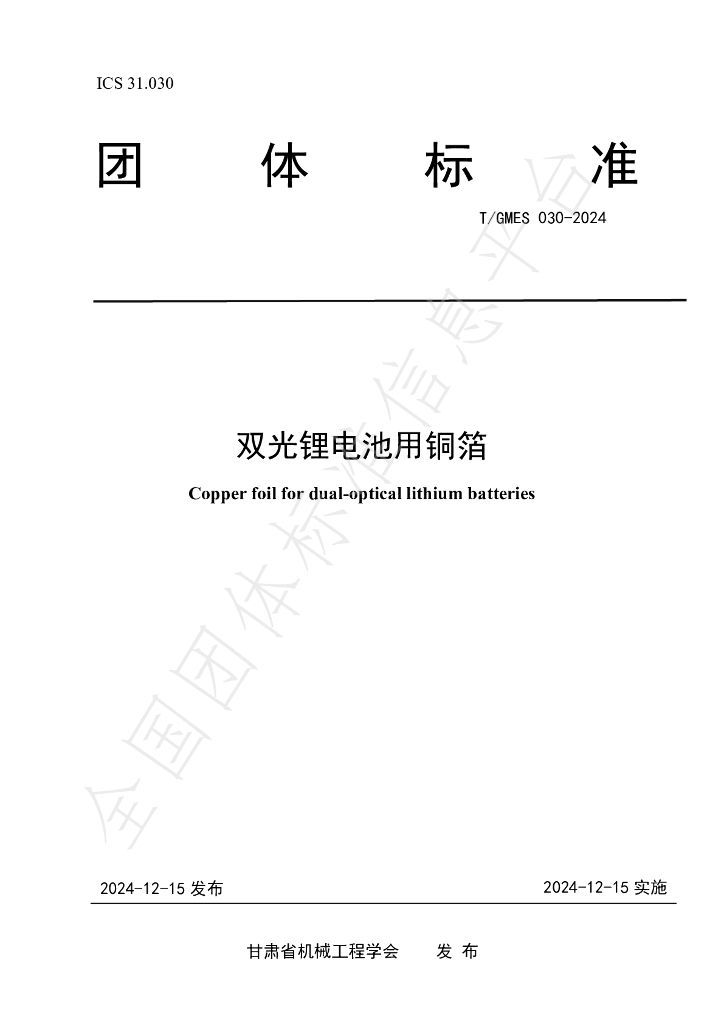 T/GMES 030-2024 标准预览