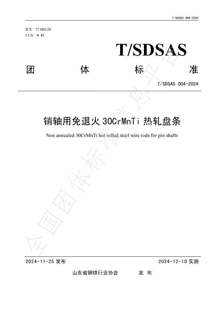T/SDSAS 004-2024 标准预览