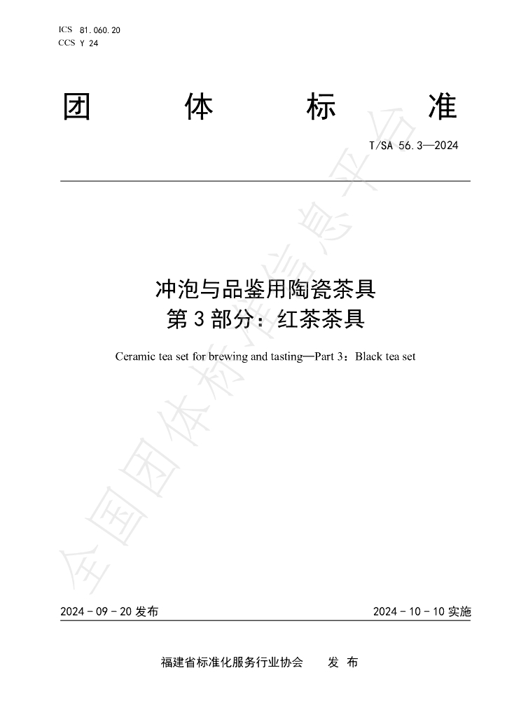 T/SA 56.3-2024 标准预览