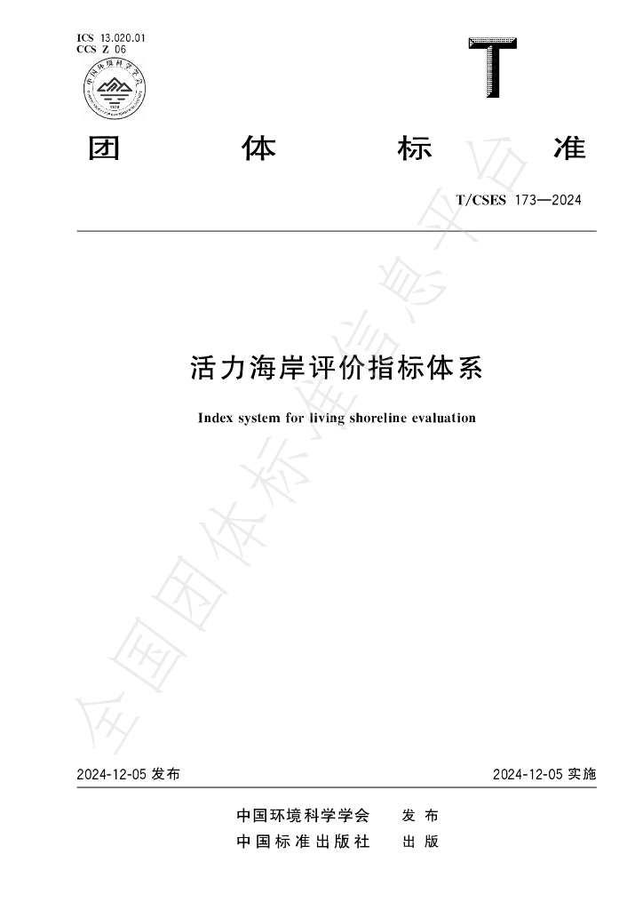 T/CSES 173-2024 标准预览