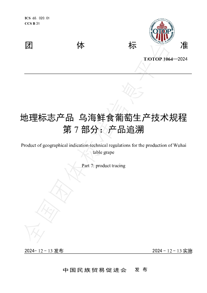 T/OTOP 1064-2024 标准预览