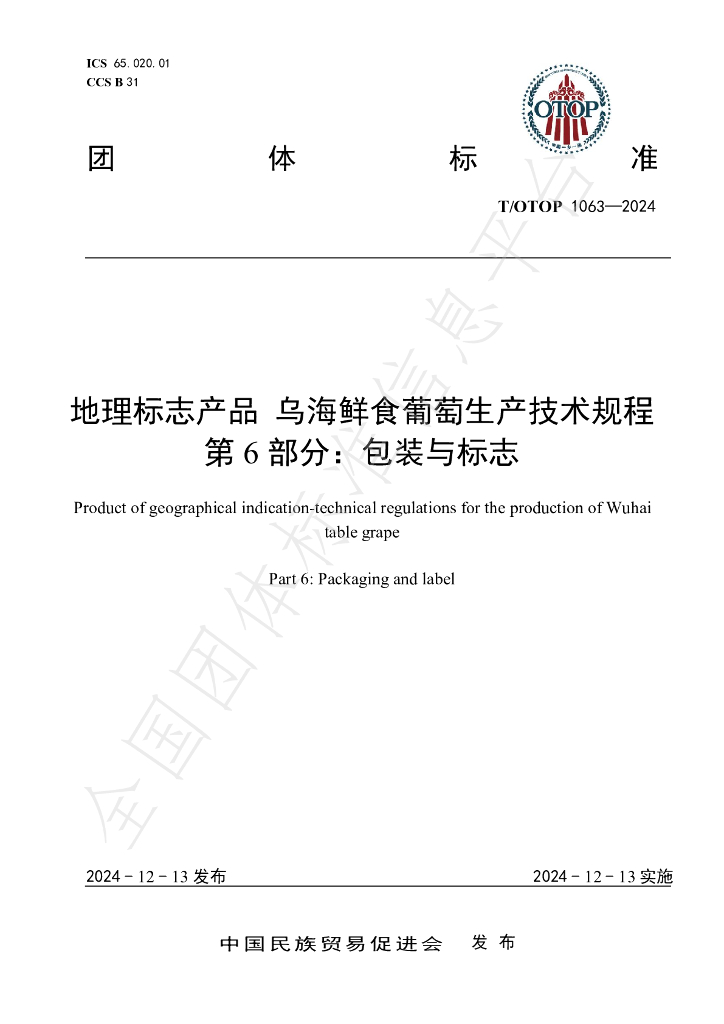 T/OTOP 1063-2024 标准预览