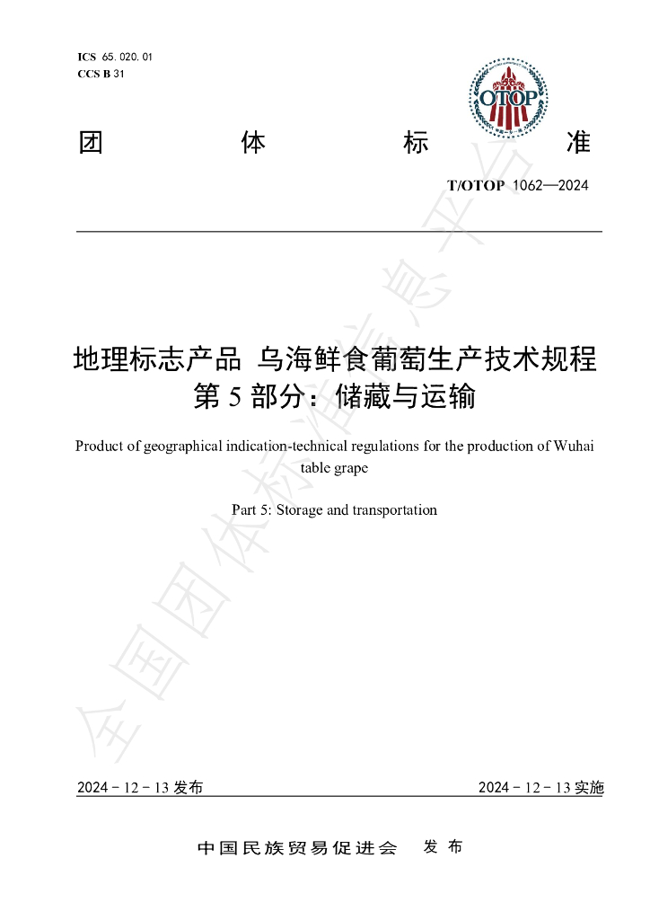 T/OTOP 1062-2024 标准预览