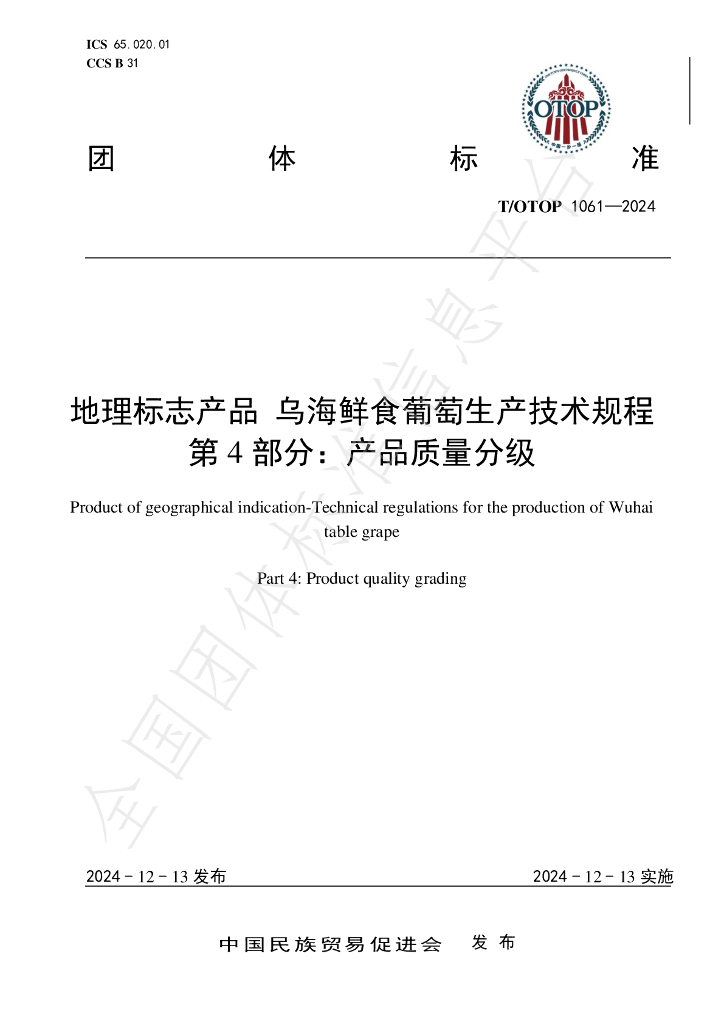 T/OTOP 1061-2024 标准预览