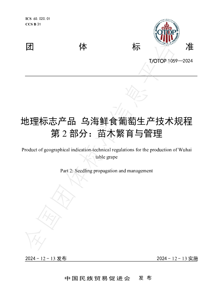 T/OTOP 1059-2024 标准预览