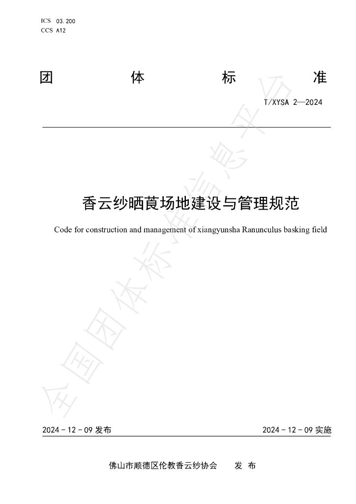 T/XYSA 2-2024 标准预览