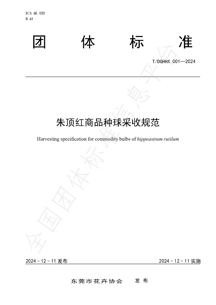 T/DGHHX 001-2024 标准预览