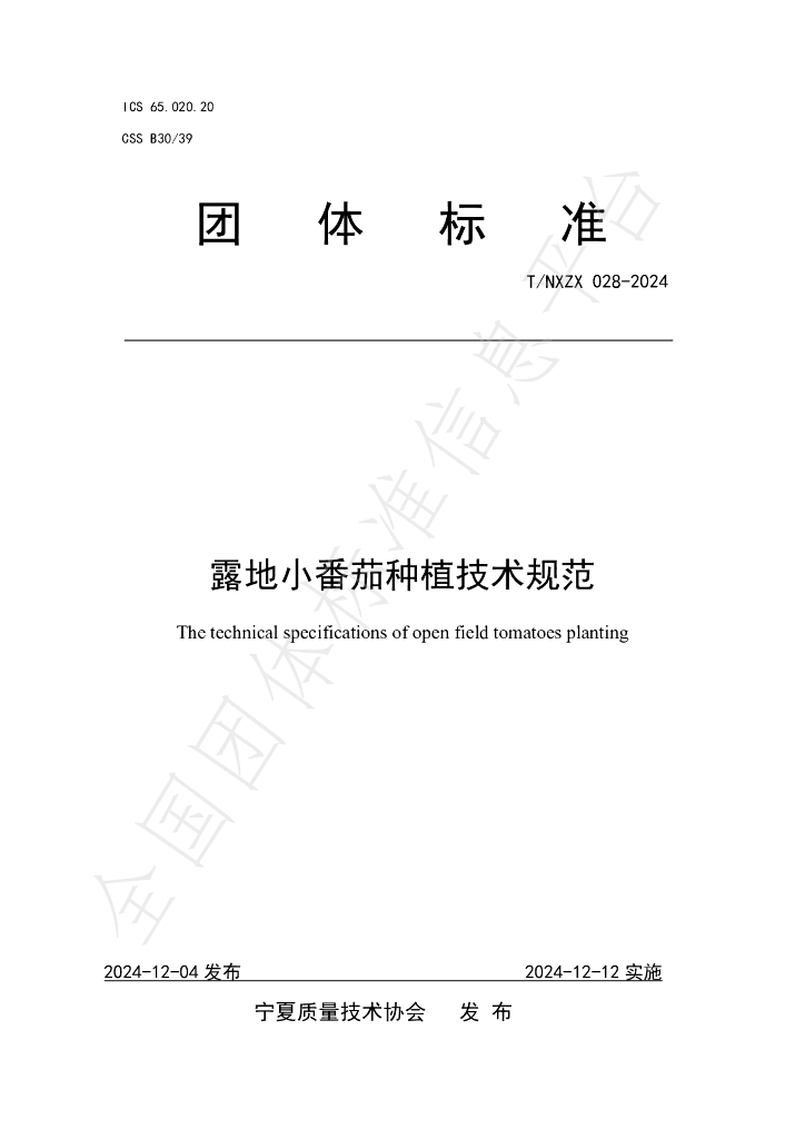T/NXZX 028-2024 标准预览
