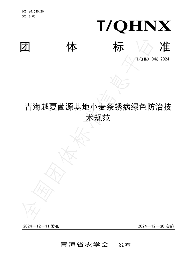 T/QHNX 046-2024 标准预览