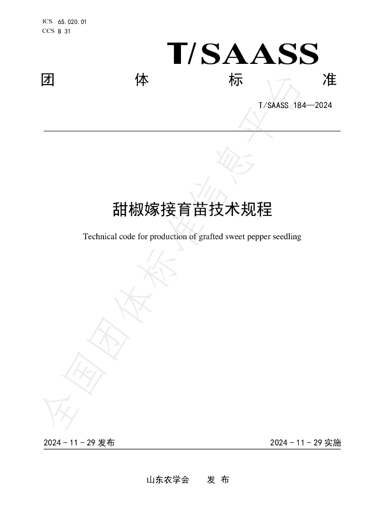 T/SAASS 184-2024 标准预览