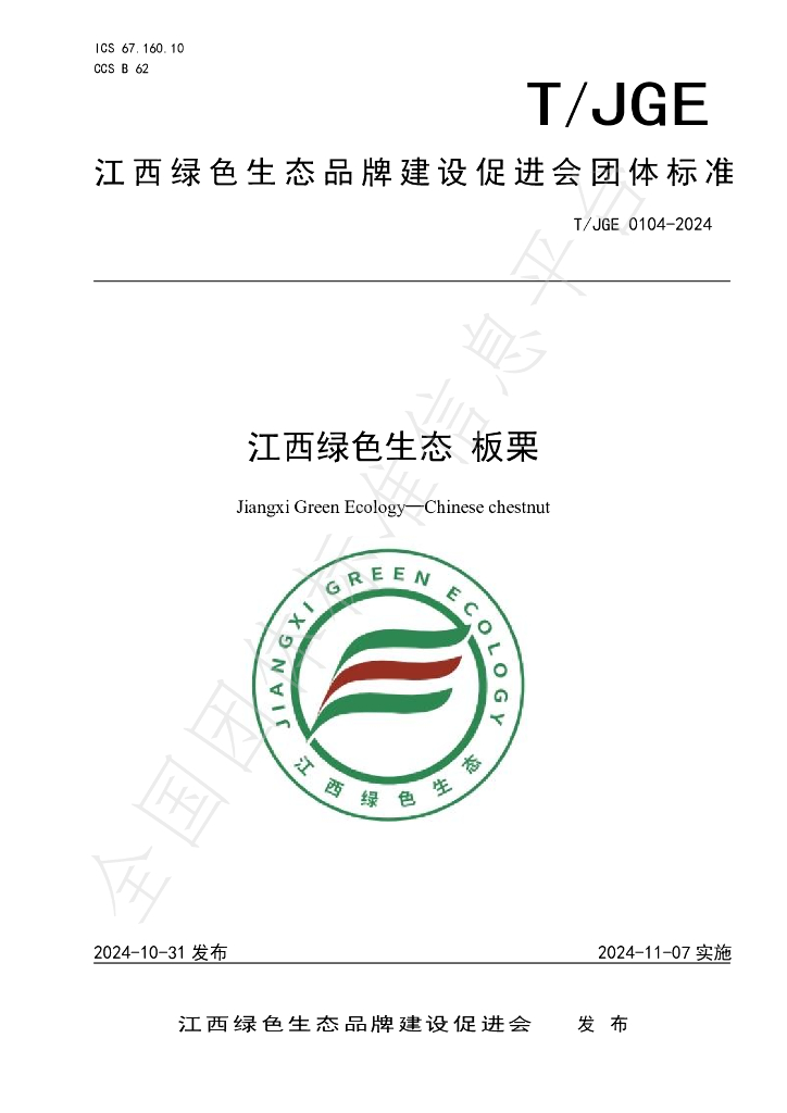 T/JGE 0104-2024 标准预览
