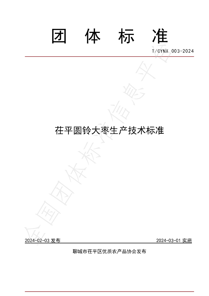 T/CYNX 003-2024 标准预览